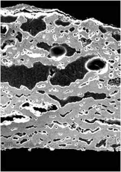 Zirconia Breakthrough Means 'Self-Renewing' Engine Blades For Airplanes